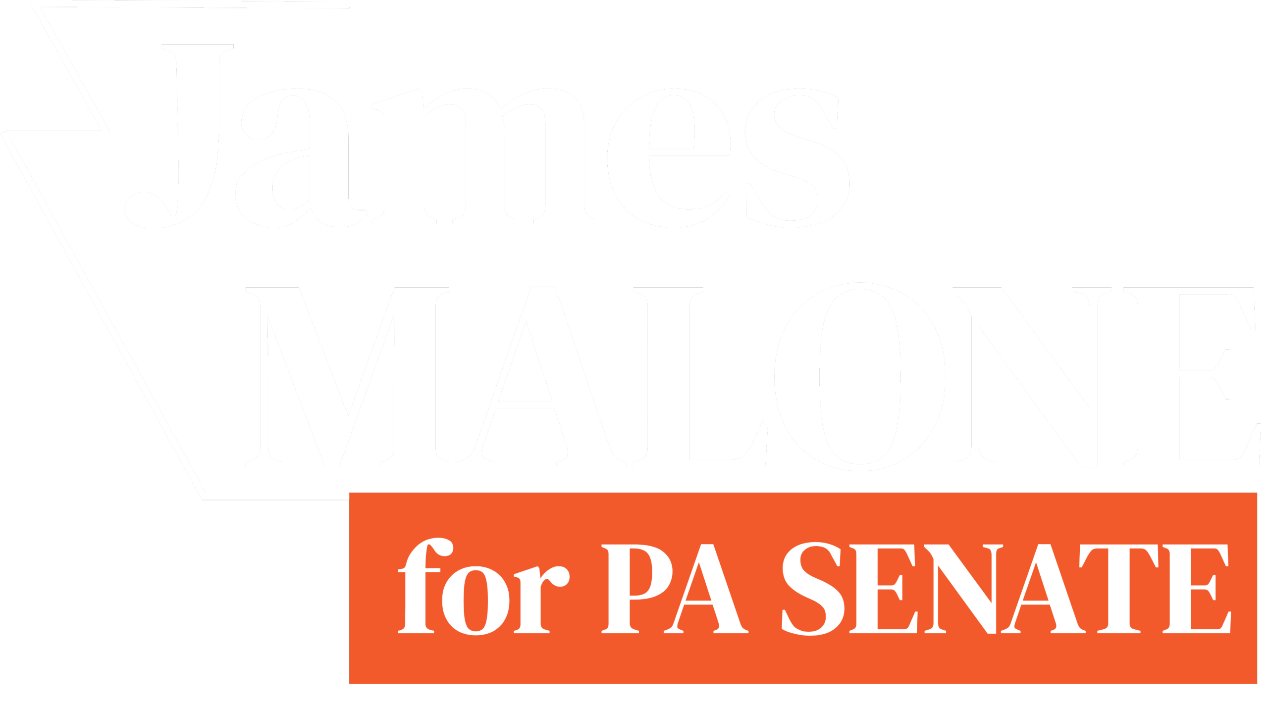 Candidate for Office